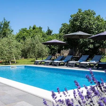 House Olive Grove With Pool And Garden *