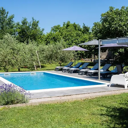Vakantiehuis House Olive Grove With Pool And Garden Labin (Istria)